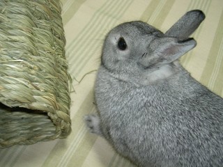 これ好き♪