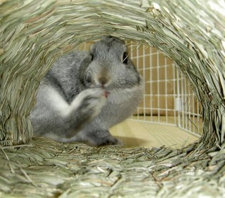 まんぞくですっ♪