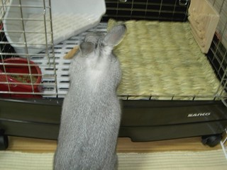 もひょ〜!