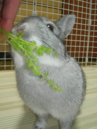 すりすり♪