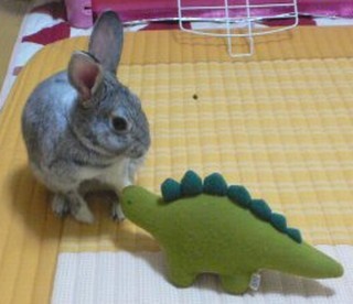 むむう〜♪