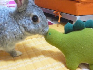 こんにちは♪