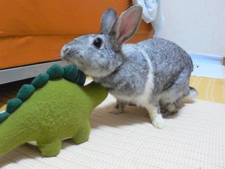 いいこね〜♪
