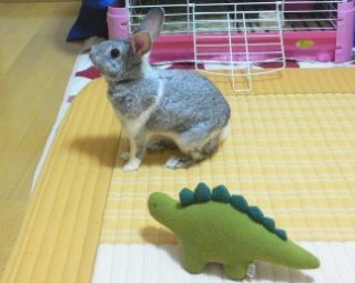 どこ見てるの?