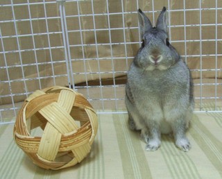 ん?