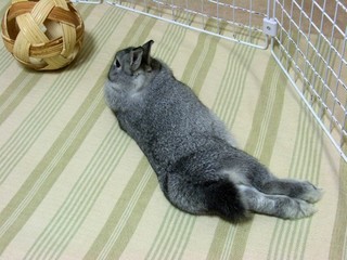 まったり♪