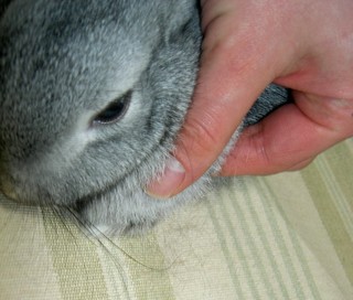 プロジェクトは、成功した。