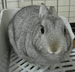 なんで見てんの?