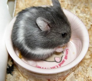 もぐもぐ♪