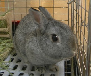 どこいくの?
