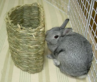 ん?