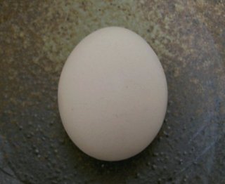 まんまる