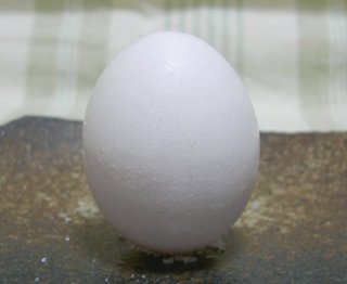 塩にのっけてます