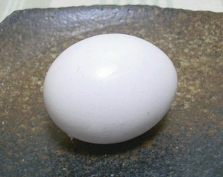 ごろん