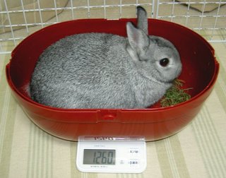 1260グラム♪