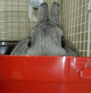どきどき♪