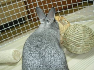 ど〜しよ〜かな〜♪