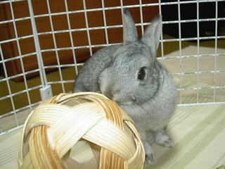 えいっ♪