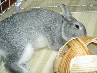 ふにふに〜♪