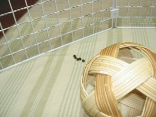 ●くんだ〜♪