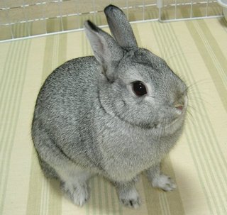 ちょーだい♪