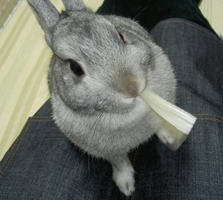 あむっ♪
