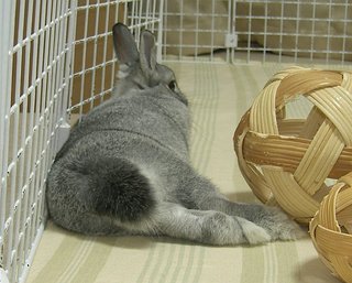 ひとやすみ♪