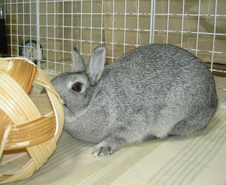 あらよっと♪