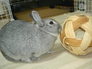 こらさっと♪