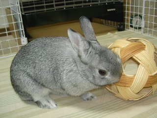 ほらやっと♪