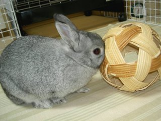 むぎゅう♪