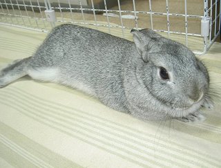 おんなのこですから♪
