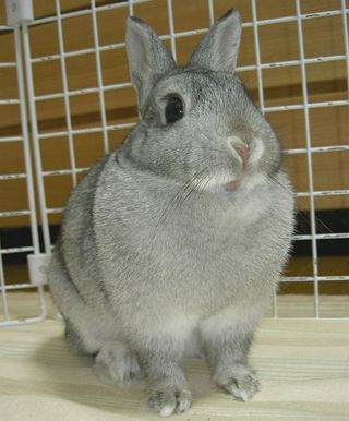 うんとね〜♪