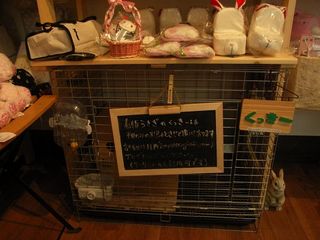おうちでゆっくりしてるかな♪