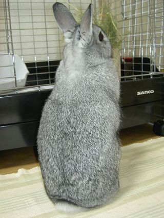 きょろ♪