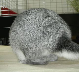 ん?