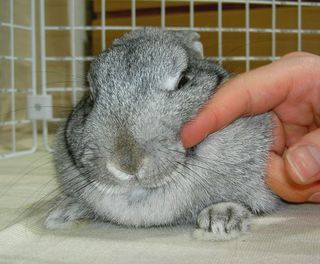 むぅ♪