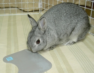 ふんふん♪