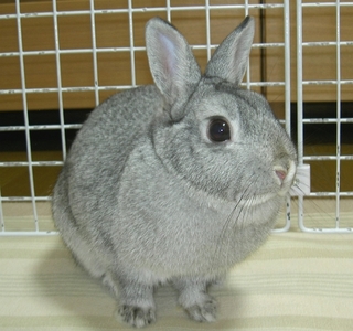 ふんふん♪
