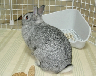 え〜と♪