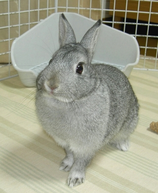 むぅむぅ♪