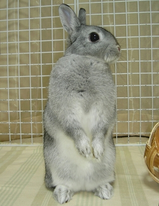 ん?