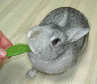 すりすり♪