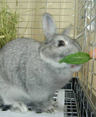 さっきのにおい♪