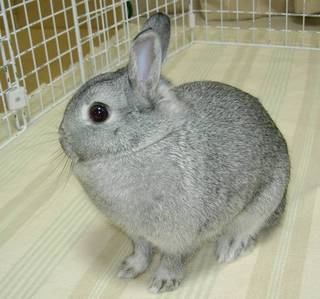 ん?