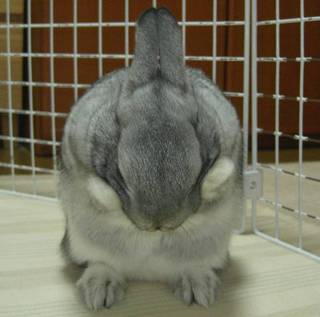 きゃ〜♪