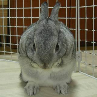 いやん♪