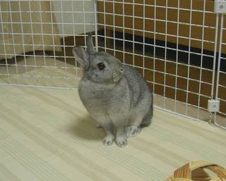 ん?