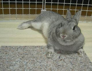 むぅ!