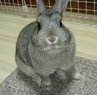 あたしの!